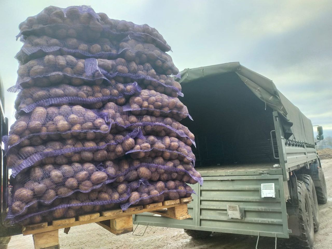 ОГУ имени И.С. Тургенева отправил для российских солдат партию орловской картошки