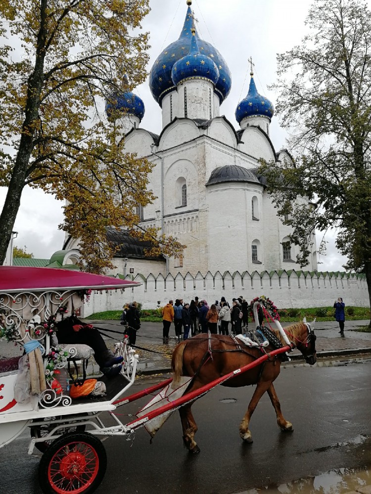 Кострома суздаль автобус. Суздаль Кострома. Суздаль Плес.